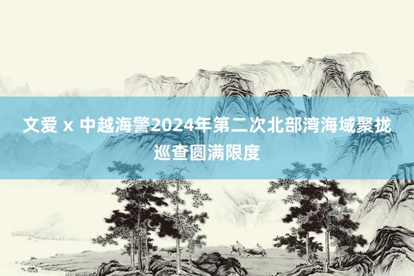 文爱 x 中越海警2024年第二次北部湾海域聚拢巡查圆满限度