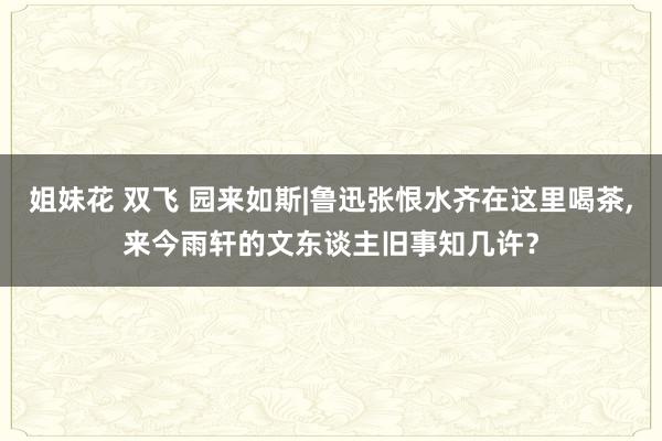 姐妹花 双飞 园来如斯|鲁迅张恨水齐在这里喝茶，来今雨轩的文东谈主旧事知几许？