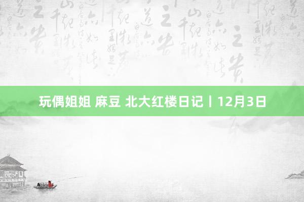 玩偶姐姐 麻豆 北大红楼日记丨12月3日