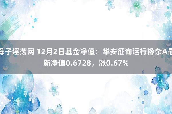 母子淫荡网 12月2日基金净值：华安征询运行搀杂A最新净值0.6728，涨0.67%