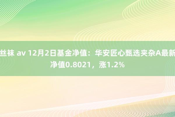 丝袜 av 12月2日基金净值：华安匠心甄选夹杂A最新净值0.8021，涨1.2%