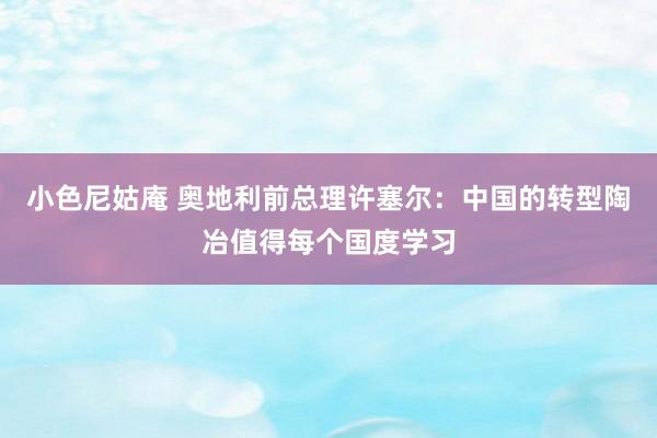 小色尼姑庵 奥地利前总理许塞尔：中国的转型陶冶值得每个国度学习