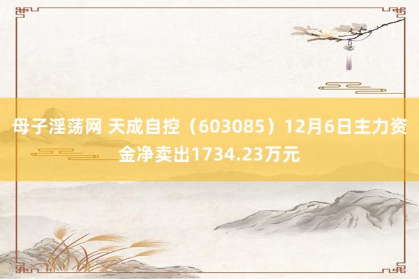 母子淫荡网 天成自控（603085）12月6日主力资金净卖出1734.23万元