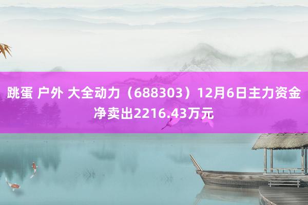 跳蛋 户外 大全动力（688303）12月6日主力资金净卖出2216.43万元