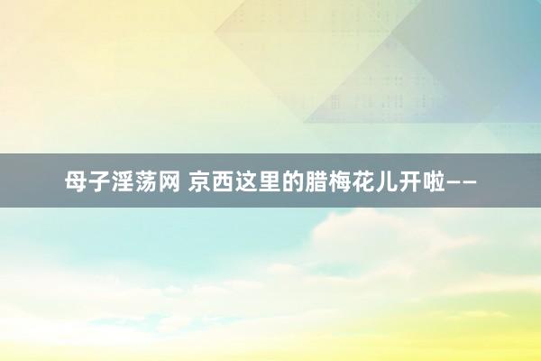 母子淫荡网 京西这里的腊梅花儿开啦——