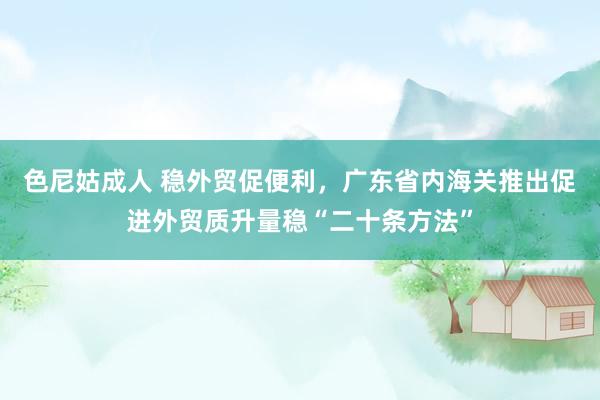 色尼姑成人 稳外贸促便利，广东省内海关推出促进外贸质升量稳“二十条方法”