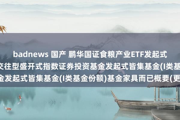 badnews 国产 鹏华国证食粮产业ETF发起式皆集I: 鹏华国证食粮产业交往型盛开式指数证券投资基金发起式皆集基金(I类基金份额)基金家具而已概要(更新)