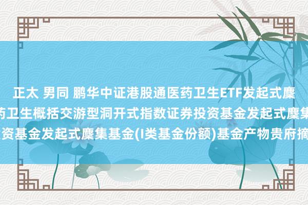 正太 男同 鹏华中证港股通医药卫生ETF发起式麇集I: 鹏华中证港股通医药卫生概括交游型洞开式指数证券投资基金发起式麇集基金(I类基金份额)基金产物贵府摘抄(更新)