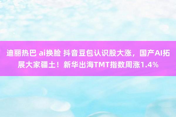 迪丽热巴 ai换脸 抖音豆包认识股大涨，国产AI拓展大家疆土！新华出海TMT指数周涨1.4%