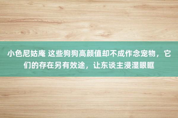 小色尼姑庵 这些狗狗高颜值却不成作念宠物，它们的存在另有效途，让东谈主浸湿眼眶