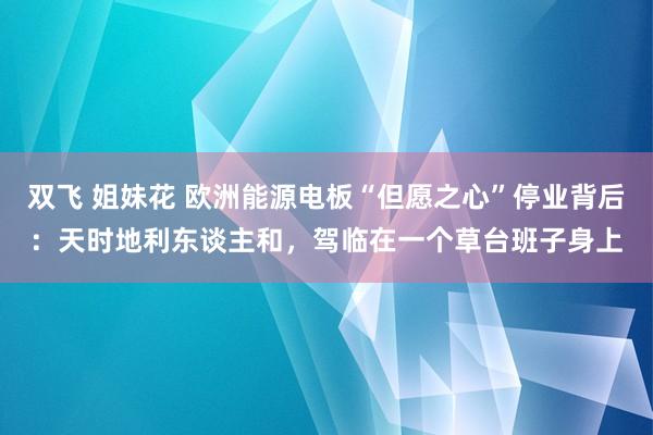 双飞 姐妹花 欧洲能源电板“但愿之心”停业背后：天时地利东谈主和，驾临在一个草台班子身上