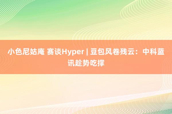 小色尼姑庵 赛谈Hyper | 豆包风卷残云：中科蓝讯趁势吃撑