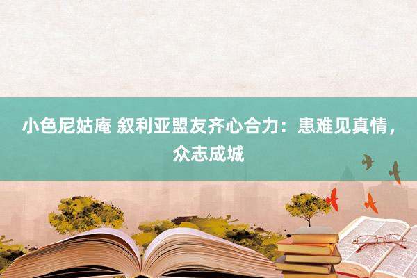 小色尼姑庵 叙利亚盟友齐心合力：患难见真情，众志成城