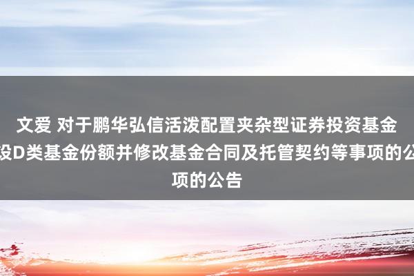 文爱 对于鹏华弘信活泼配置夹杂型证券投资基金增设D类基金份额并修改基金合同及托管契约等事项的公告