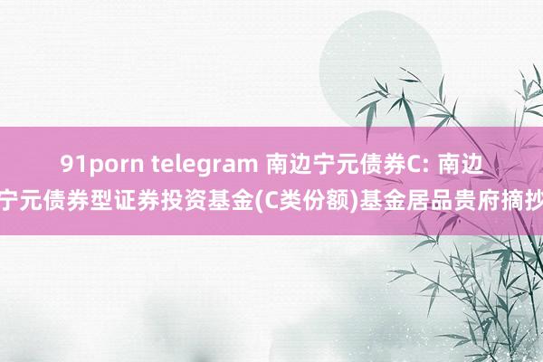 91porn telegram 南边宁元债券C: 南边宁元债券型证券投资基金(C类份额)基金居品贵府摘抄