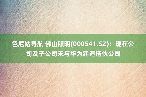 色尼姑导航 佛山照明(000541.SZ)：现在公司及子公司未与华为建造搭伙公司