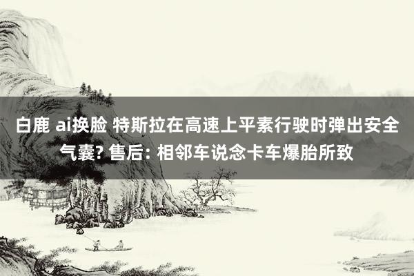 白鹿 ai换脸 特斯拉在高速上平素行驶时弹出安全气囊? 售后: 相邻车说念卡车爆胎所致