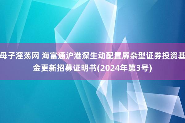 母子淫荡网 海富通沪港深生动配置羼杂型证券投资基金更新招募证明书(2024年第3号)