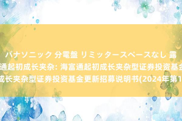 パナソニック 分電盤 リミッタースペースなし 露出・半埋込両用形 海富通起初成长夹杂: 海富通起初成长夹杂型证券投资基金更新招募说明书(2024年第1号)