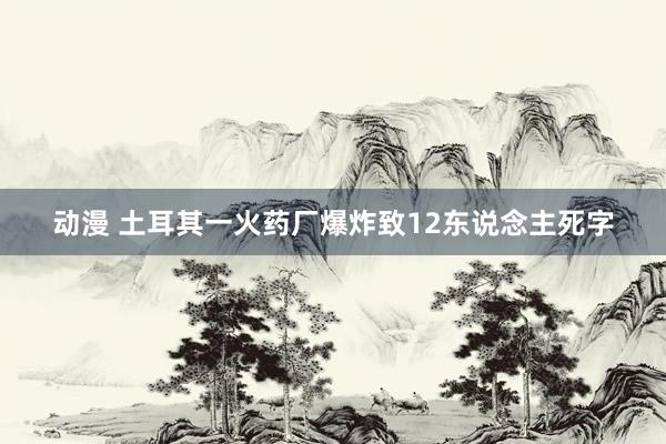 动漫 土耳其一火药厂爆炸致12东说念主死字