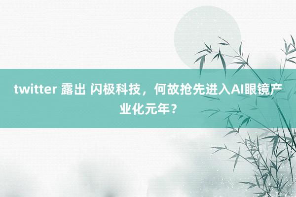 twitter 露出 闪极科技，何故抢先进入AI眼镜产业化元年？