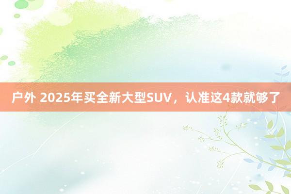 户外 2025年买全新大型SUV，认准这4款就够了