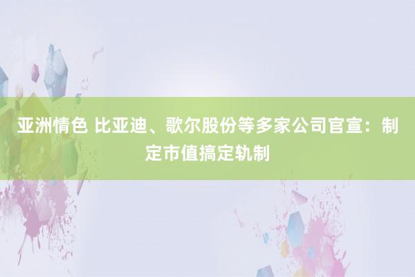 亚洲情色 比亚迪、歌尔股份等多家公司官宣：制定市值搞定轨制