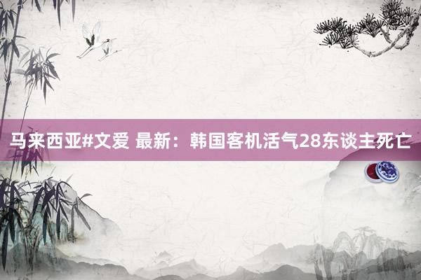 马来西亚#文爱 最新：韩国客机活气28东谈主死亡