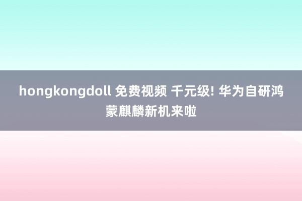 hongkongdoll 免费视频 千元级! 华为自研鸿蒙麒麟新机来啦