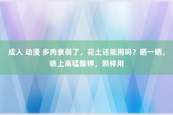 成人 动漫 多肉衰弱了，花土还能用吗？晒一晒，喷上高锰酸钾，照样用