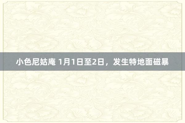 小色尼姑庵 1月1日至2日，发生特地面磁暴