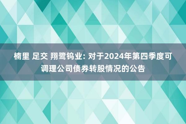 楠里 足交 翔鹭钨业: 对于2024年第四季度可调理公司债券转股情况的公告