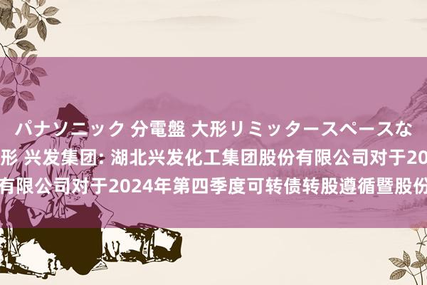 パナソニック 分電盤 大形リミッタースペースなし 露出・半埋込両用形 兴发集团: 湖北兴发化工集团股份有限公司对于2024年第四季度可转债转股遵循暨股份变动的公告