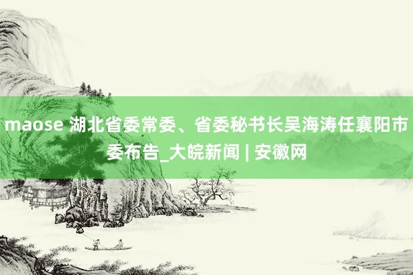 maose 湖北省委常委、省委秘书长吴海涛任襄阳市委布告_大皖新闻 | 安徽网