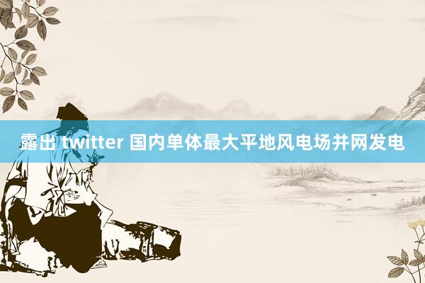 露出 twitter 国内单体最大平地风电场并网发电