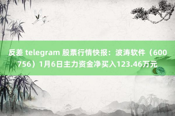 反差 telegram 股票行情快报：波涛软件（600756）1月6日主力资金净买入123.46万元