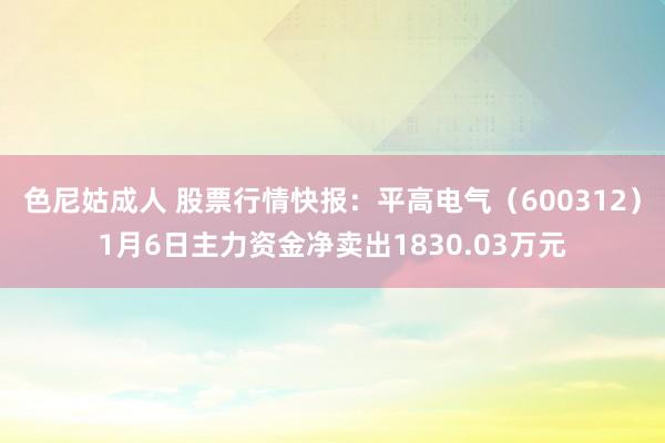 色尼姑成人 股票行情快报：平高电气（600312）1月6日主力资金净卖出1830.03万元