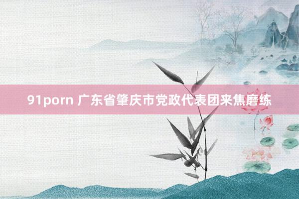 91porn 广东省肇庆市党政代表团来焦磨练