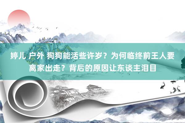 婷儿 户外 狗狗能活些许岁？为何临终前王人要离家出走？背后的原因让东谈主泪目