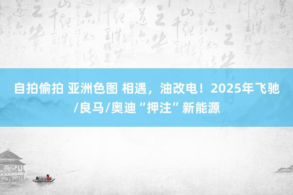 自拍偷拍 亚洲色图 相遇，油改电！2025年飞驰/良马/奥迪“押注”新能源