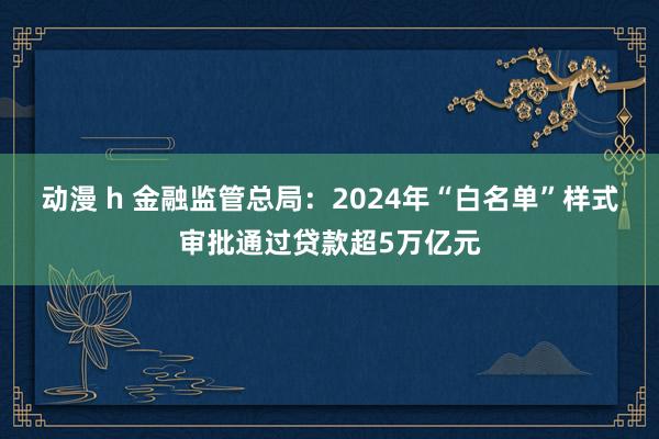 动漫 h 金融监管总局：2024年“白名单”样式审批通过贷款超5万亿元