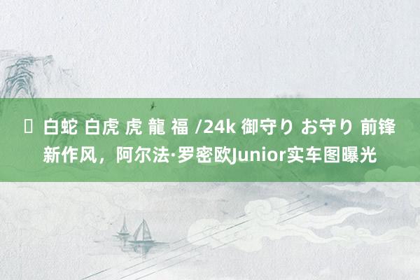 ✨白蛇 白虎 虎 龍 福 /24k 御守り お守り 前锋新作风，阿尔法·罗密欧Junior实车图曝光