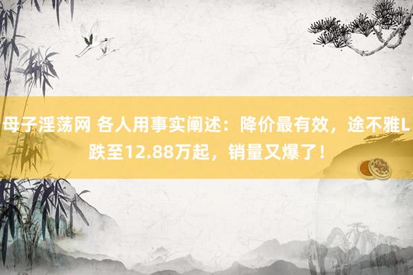 母子淫荡网 各人用事实阐述：降价最有效，途不雅L跌至12.88万起，销量又爆了！