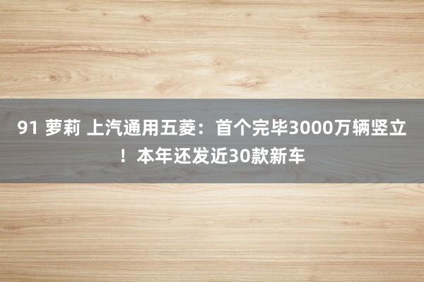 91 萝莉 上汽通用五菱：首个完毕3000万辆竖立！本年还发近30款新车