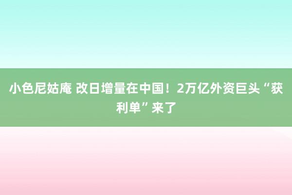 小色尼姑庵 改日增量在中国！2万亿外资巨头“获利单”来了