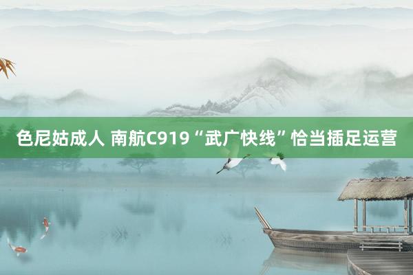 色尼姑成人 南航C919“武广快线”恰当插足运营